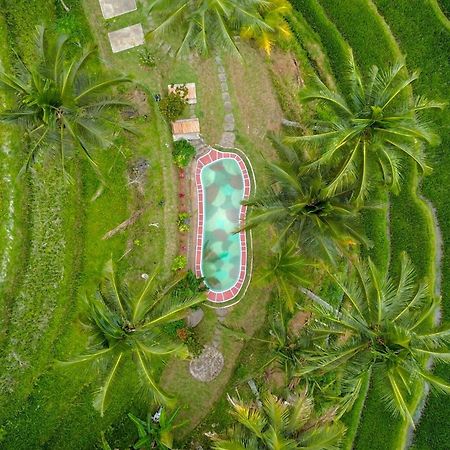 Pesona Bali Ecolodge By Agata 贾蒂卢维 外观 照片
