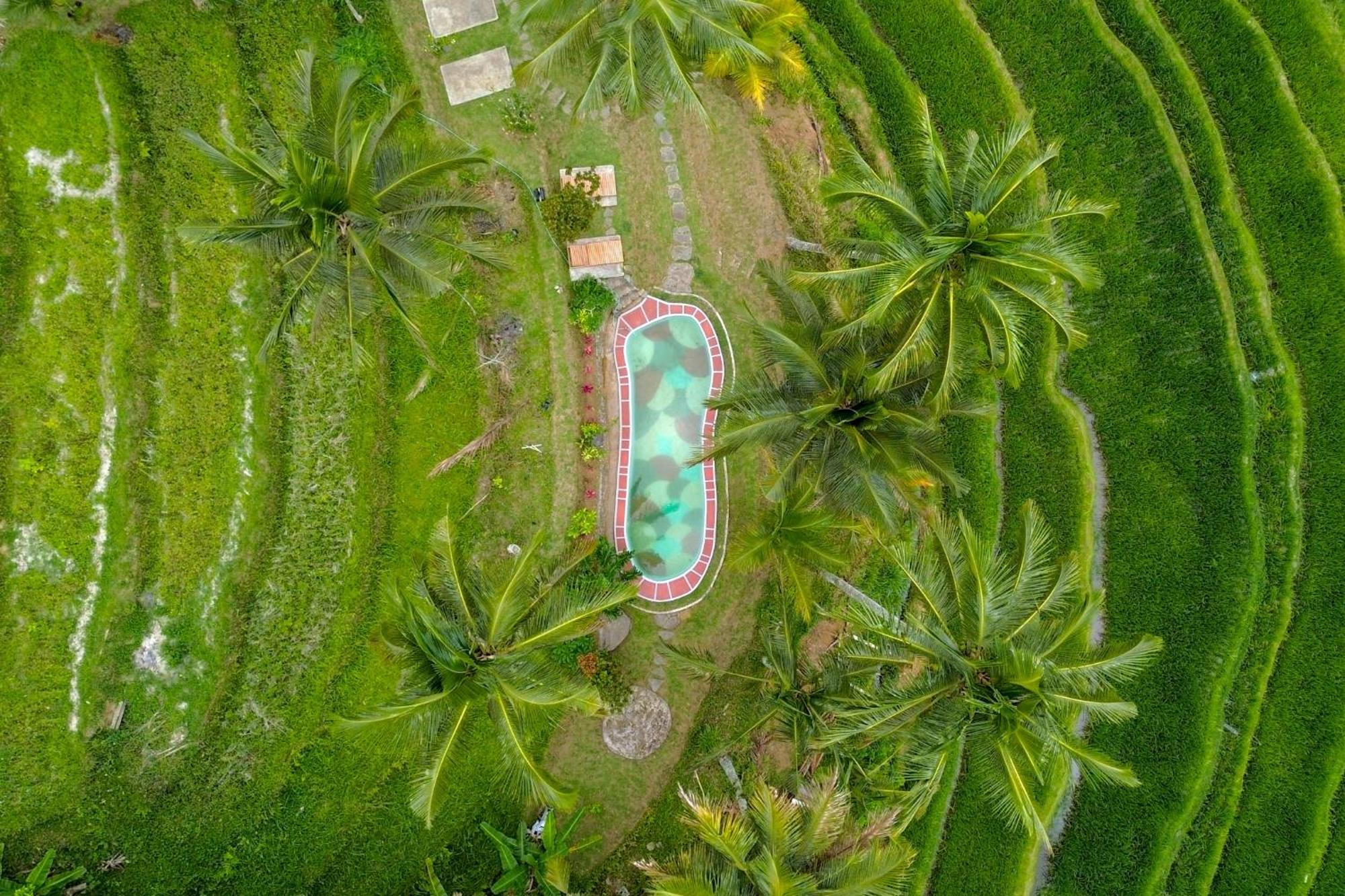 Pesona Bali Ecolodge By Agata 贾蒂卢维 外观 照片