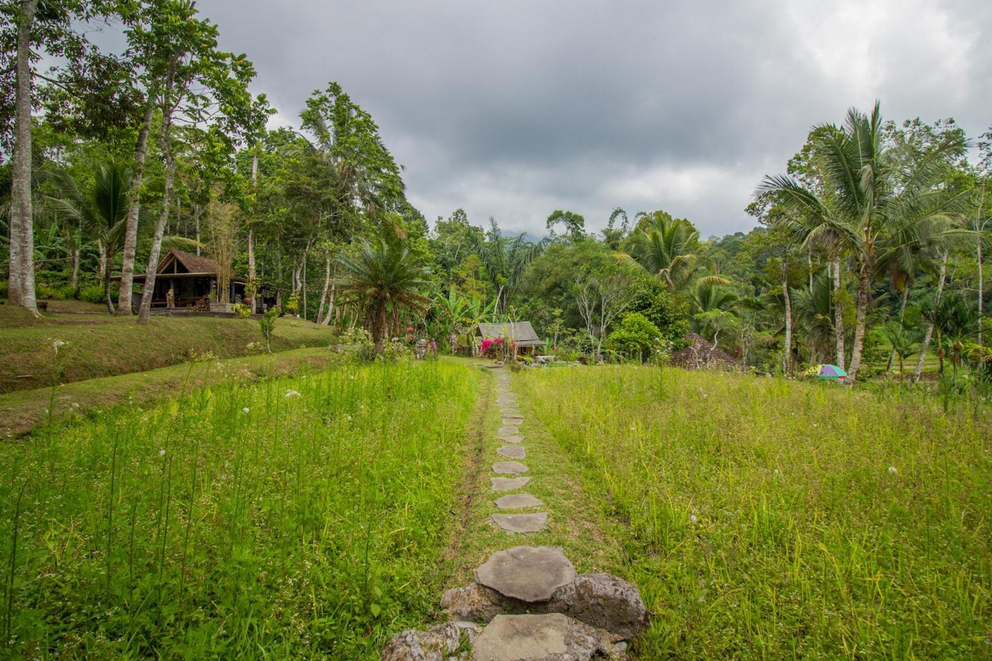 Pesona Bali Ecolodge By Agata 贾蒂卢维 外观 照片